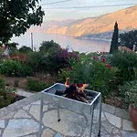 With Views